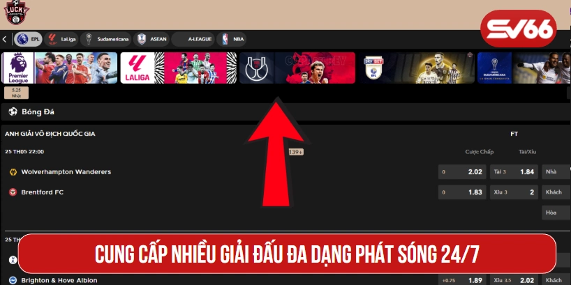 Cung cấp nhiều giải đấu đa dạng phát sóng 24/7