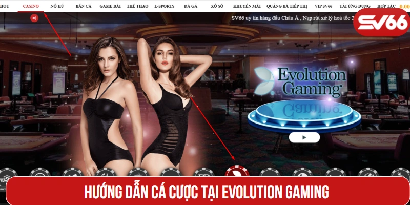 Hướng dẫn cá cược tại Evolution Gaming