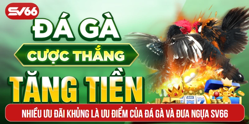 Nhiều ưu đãi khủng là ưu điểm của đá gà và đưa ngựa SV66