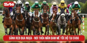 sảnh RCB đua ngựa