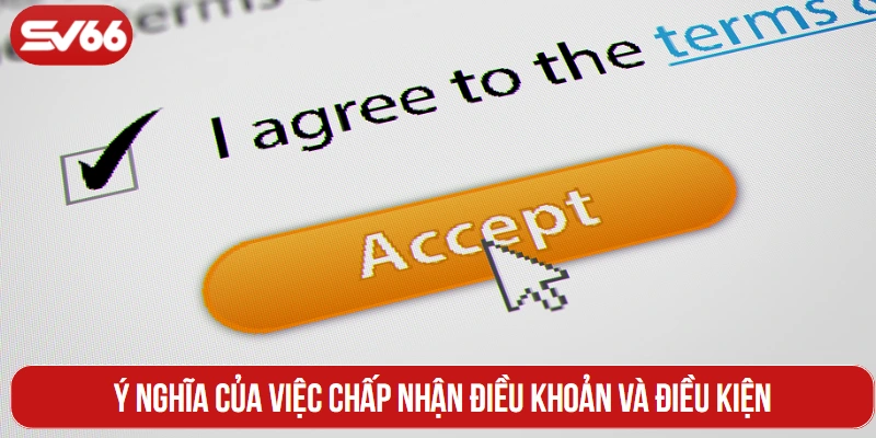 Ý nghĩa của việc chấp nhận điều khoản và điều kiện